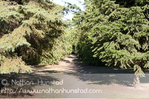 Summit_Avenue_2008-08-24_IMG_1565